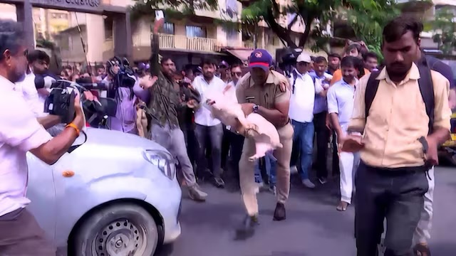 ಮುಂಬೈ: ಬಕ್ರೀದ್ ಆಡುಗಳಿಗೆ ಪ್ರತಿಯಾಗಿ ಹಂದಿ ತಂದ ಹಿಂದುತ್ವ ಸಂಘಟನೆಗಳು; ಸಾಮಾಜಿಕ ಕಾಳಜಿಯ ಹೆಸರಲ್ಲಿ ಕೋಮು ಪ್ರಚೋದನೆ?